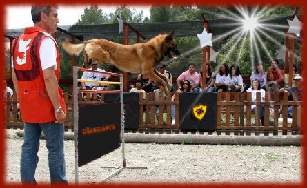 Adiestrador canino 