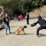 perro agresivo adiestramiento canino