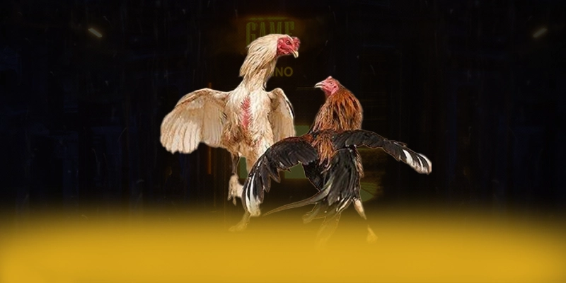 VWIN – Sân chơi được yêu thích nhất, được người chơi yêu thích. VWIN – Sân chơi được yêu thích nhất, được người chơi yêu thích.