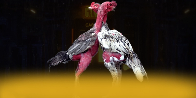 DAGA88 – Cổng game được nhiều người chơi lựa chọn, khẳng định vị thế hàng đầu tại Việt Nam. DAGA88 – Cổng game được nhiều người chơi lựa chọn, khẳng định vị thế hàng đầu tại Việt Nam.