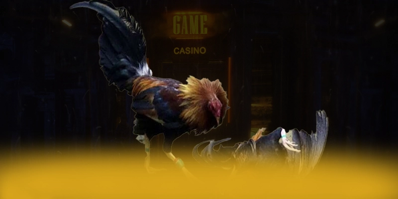 N88 - Nền tảng cá cược hào phóng được yêu thích hàng đầu – Khám phá chương trình N88 N88 - Nền tảng cá cược hào phóng được yêu thích hàng đầu – Khám phá chương trình N88