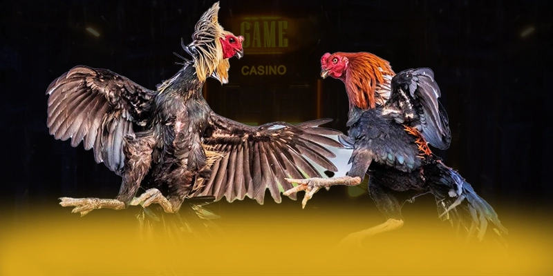 Đánh giá SA88 - Cổng game được nhiều người chơi lựa chọn cho người chơi
Đánh giá SA88 - Cổng game được nhiều người chơi lựa chọn cho người chơi