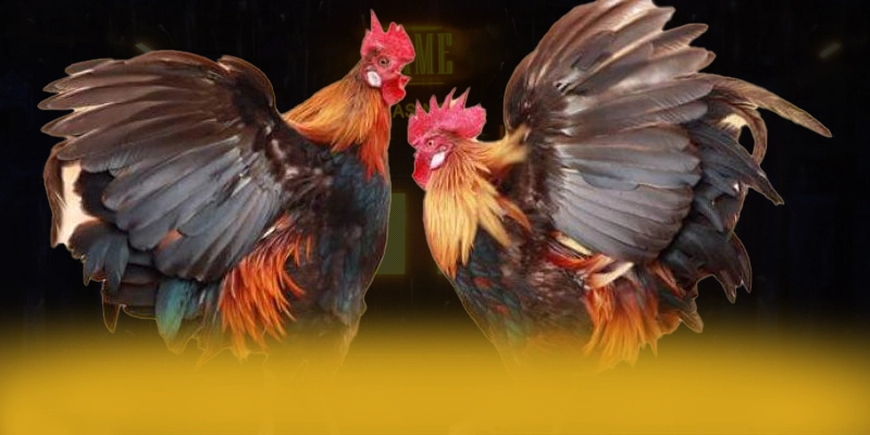 LC88 - Nền tảng cá cược sở hữu top trò chơi nổi bật được game thủ lựa chọn – Trải nghiệm siêu phẩm độc quyền tại LC88