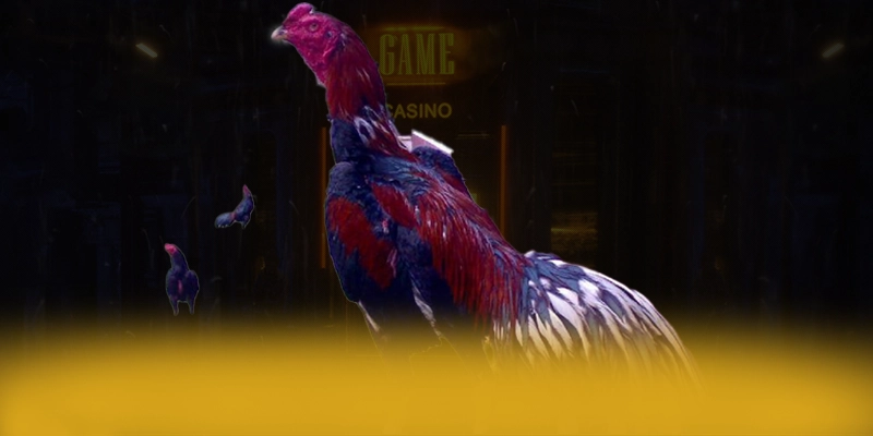 Khám phá thế giới của GA6789 - Cổng trò chơi được nhiều người chơi lựa chọn được quan tâm
Khám phá thế giới của GA6789 - Cổng trò chơi được nhiều người chơi lựa chọn được quan tâm