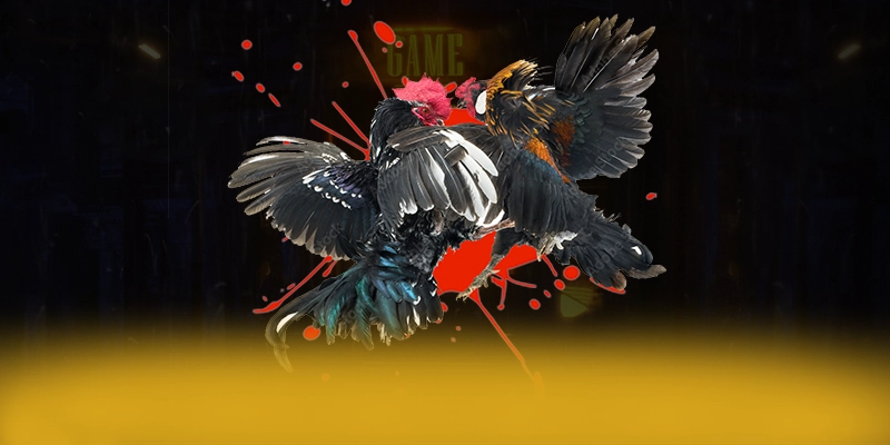 VWIN - Cổng trò chơi có nhiều event hấp dẫn hiện nay – Săn ngay VWIN VWIN - Cổng trò chơi có nhiều event hấp dẫn hiện nay – Săn ngay VWIN