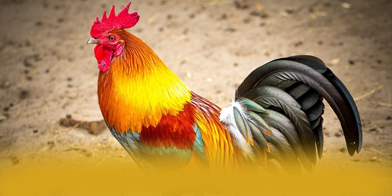 tài xỉu online – Sảnh game hàng đầu Việt Nam, được cộng đồng đánh giá tích cực. tài xỉu online – Sảnh game hàng đầu Việt Nam, được cộng đồng đánh giá tích cực.