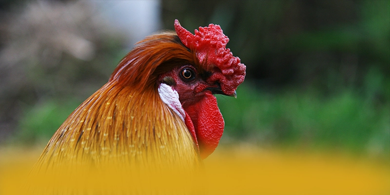 W88 - Lời kết một cách tổng quan. W88 - Lời kết một cách tổng quan.