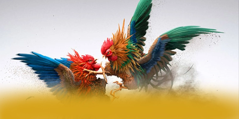 GA6789 - Lời kết đầy ấn tượng với đầy đủ ưu điểm nổi bật. GA6789 - Lời kết đầy ấn tượng với đầy đủ ưu điểm nổi bật.