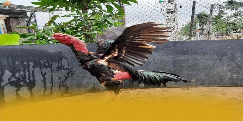 Khám phá hành trình của W88 - Thương hiệu an toàn tuyệt đối số 1 Việt Nam
Khám phá hành trình của W88 - Thương hiệu an toàn tuyệt đối số 1 Việt Nam