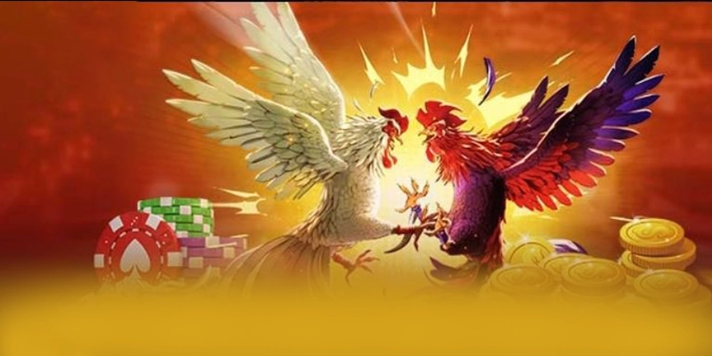 FAFA191 - Nhà cái minh bạch được người chơi tin dùng – Khám phá cam kết an toàn của FAFA191 FAFA191 - Nhà cái minh bạch được người chơi tin dùng – Khám phá cam kết an toàn của FAFA191