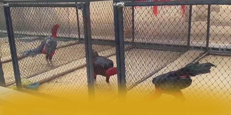 tài xỉu online - Cổng giải trí cam kết bảo vệ người chơi tuyệt đối trên thị trường – Khám phá cam kết an toàn của tài xỉu online tài xỉu online - Cổng giải trí cam kết bảo vệ người chơi tuyệt đối trên thị trường – Khám phá cam kết an toàn của tài xỉu online