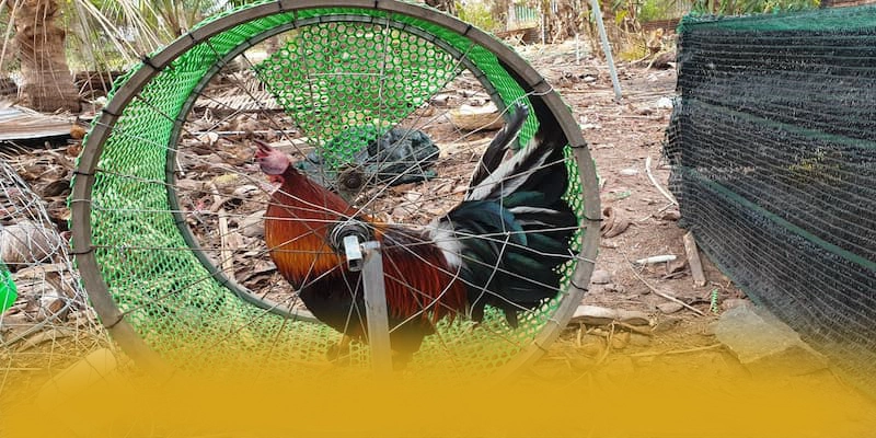 W88 - Ứng dụng giải trí với chính sách bảo mật hàng đầu được yêu thích hàng đầu – Tìm hiểu thêm về W88 W88 - Ứng dụng giải trí với chính sách bảo mật hàng đầu được yêu thích hàng đầu – Tìm hiểu thêm về W88