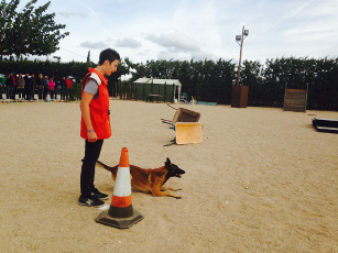 Exhibición Canina Los Guardianes