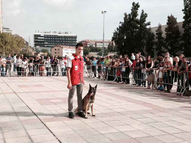 Exhibición Canina Los Guardianes