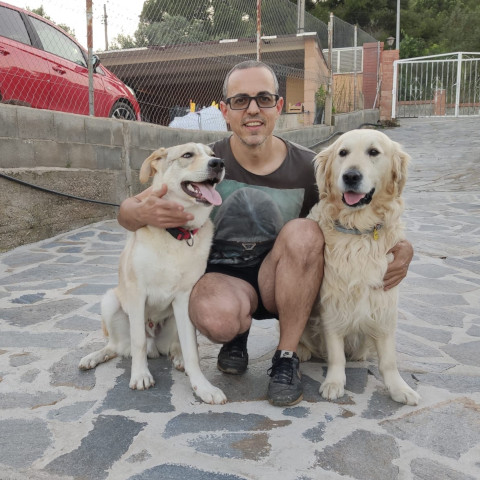 carlos baldo adiestrador con su perro