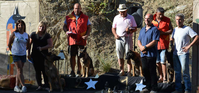 concurso-modio-grupo-3