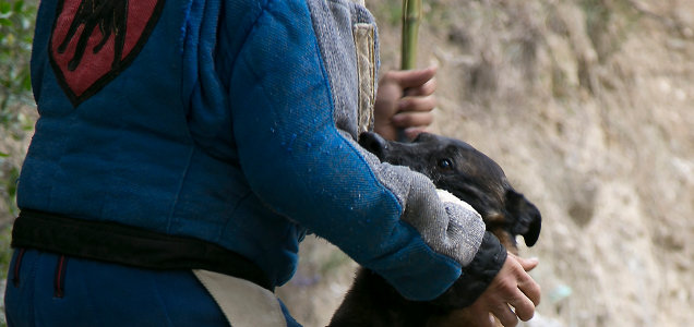 concurso-modioriong-adiestramiento