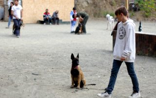 alumno en curso adiestrador canino basico