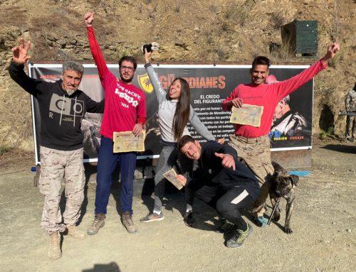 Curso de adiestramiento canino profesional ¿Cómo y cuál elijo?