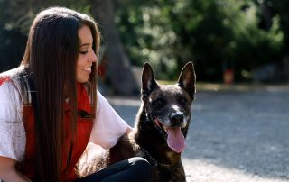 tener atención de tu perro