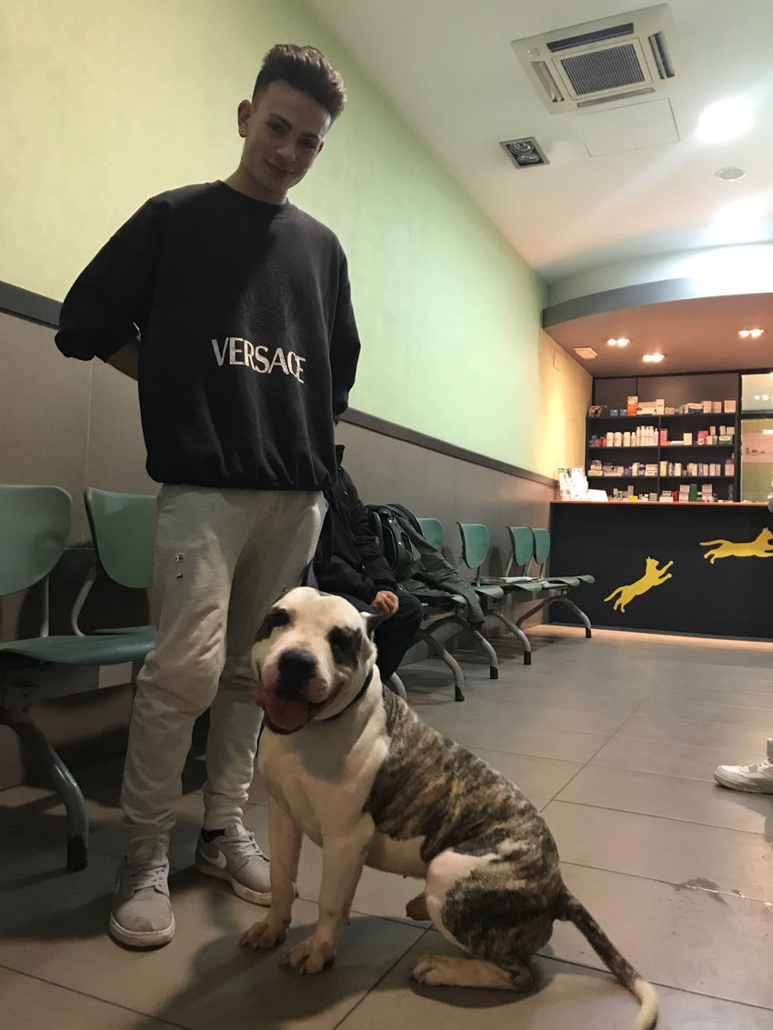 Pitbull con su dueño