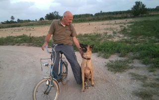 perro con su dueño paseando