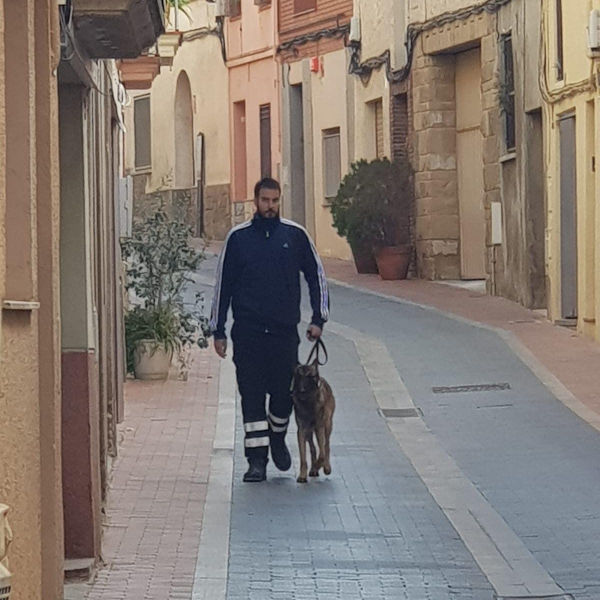 jesus adiestrador canino