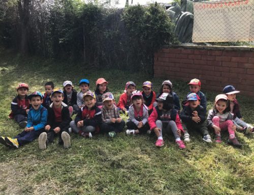Cómo enseñar a los niños a dejar de tener miedo a los perros
