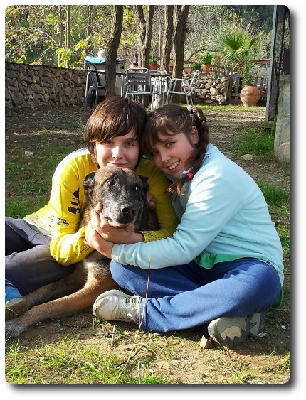 Perro Paco los Guardianes