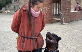 perro está lado izquierdo
