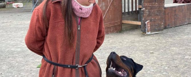 perro está lado izquierdo