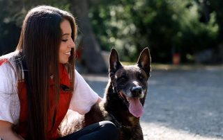 perro que no ladra al oir vecinos