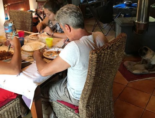 Cómo enseñar a un perro a no pedir comida en la mesa
