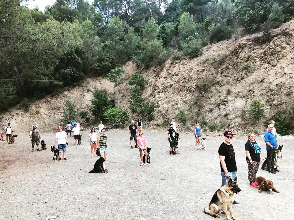 perros clase socializacion